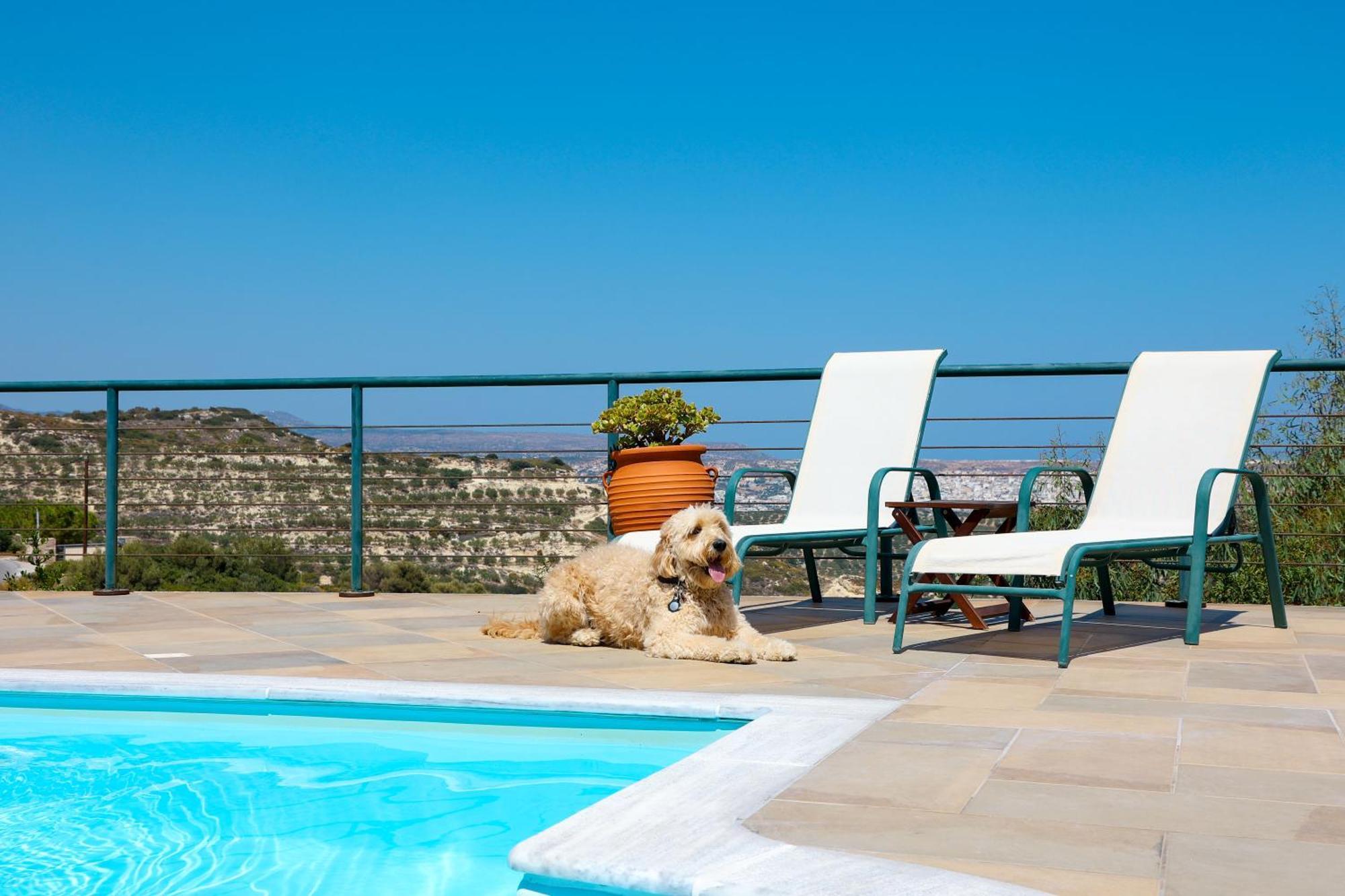 Roussa Village Sitia  Exterior foto